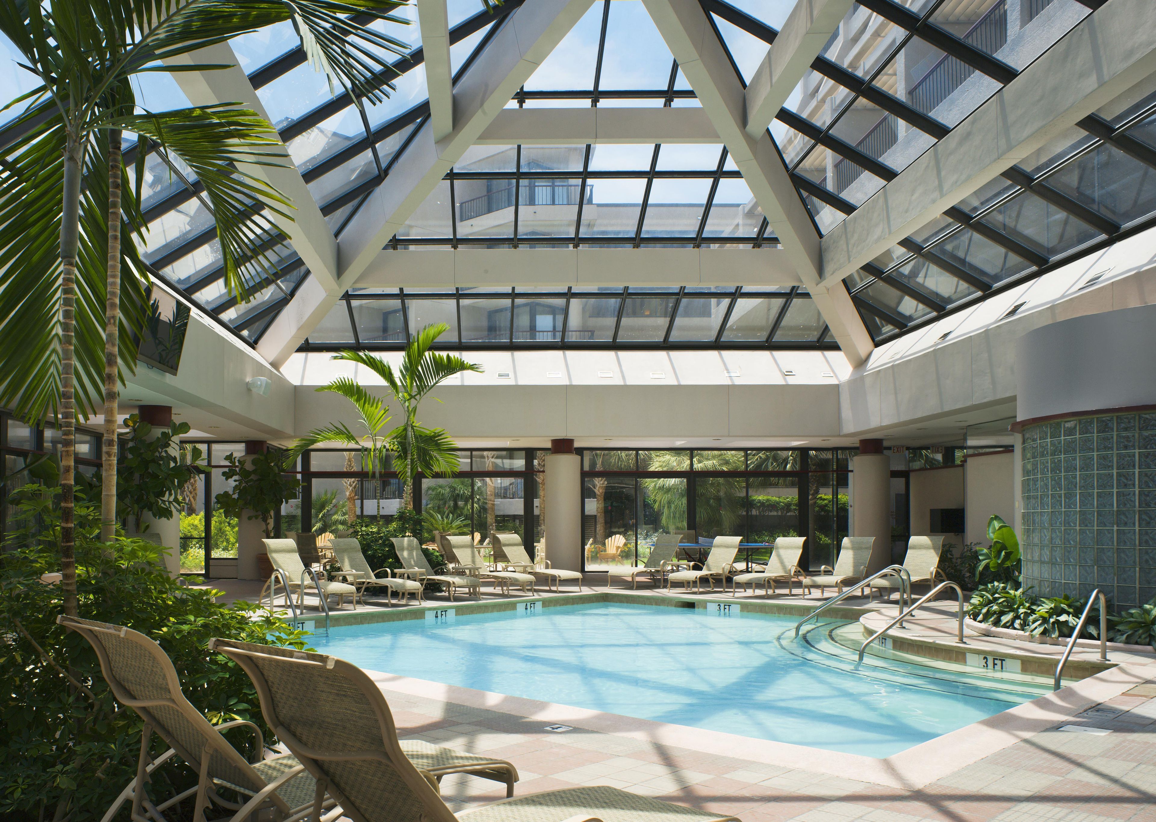 An indoor swimming pool with lounge chairs, palm trees, and a glass ceiling.