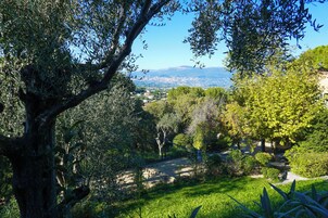 A lush garden with a variety of trees and shrubs, a stone pathway, and a view of a distant cityscape.