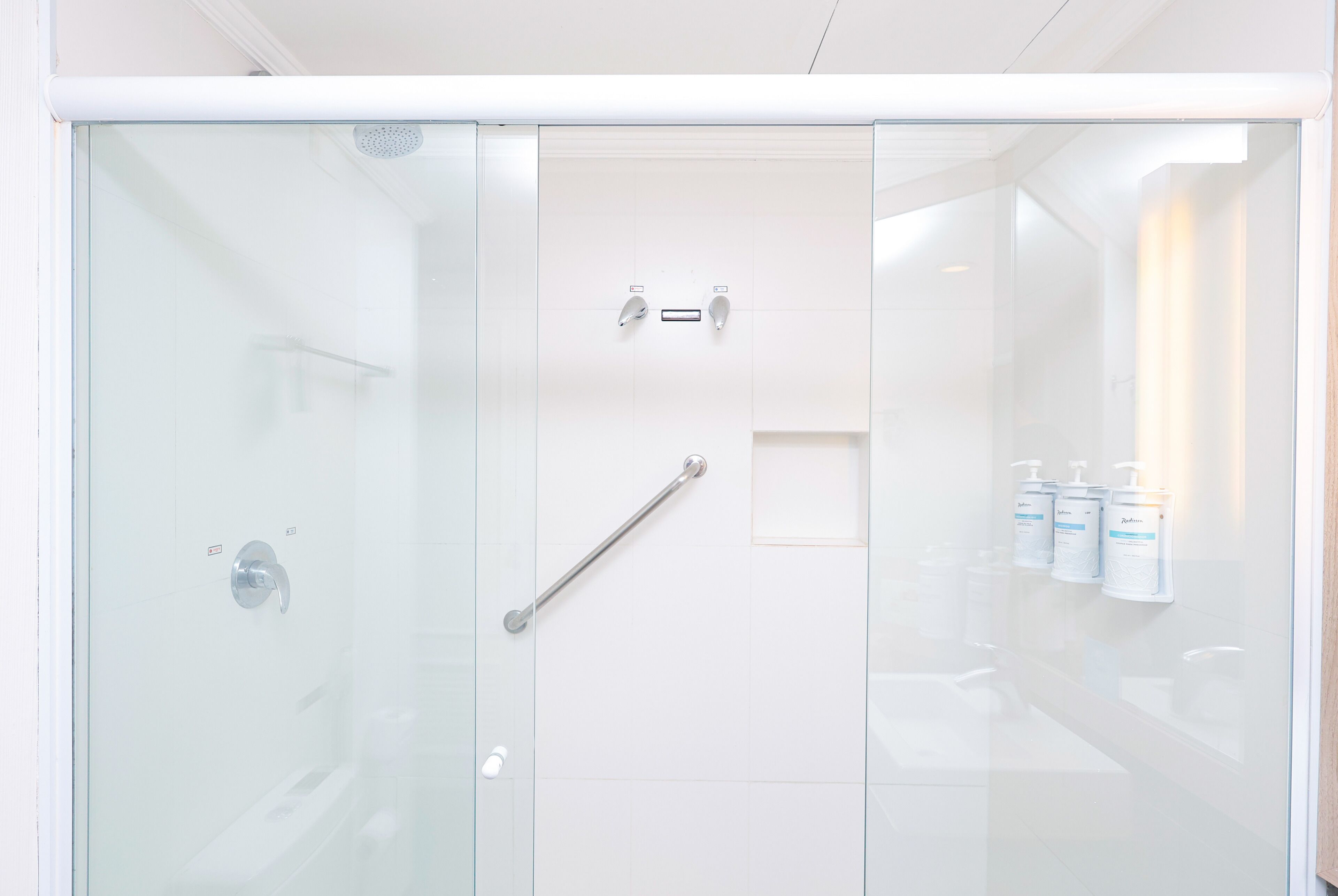 A modern bathroom with a glass shower enclosure, a handrail, and a row of toiletries on the wall.