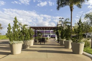 Garden - Sia Park Executive Hotel (SIA)