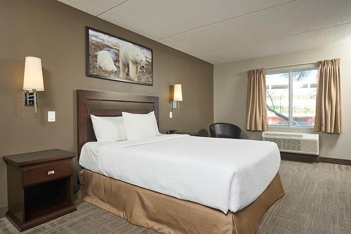 Quarto de hotel com uma cama grande, duas luminárias de cabeceira, uma cadeira, uma janela com cortinas e uma fotografia de um urso polar na parede.