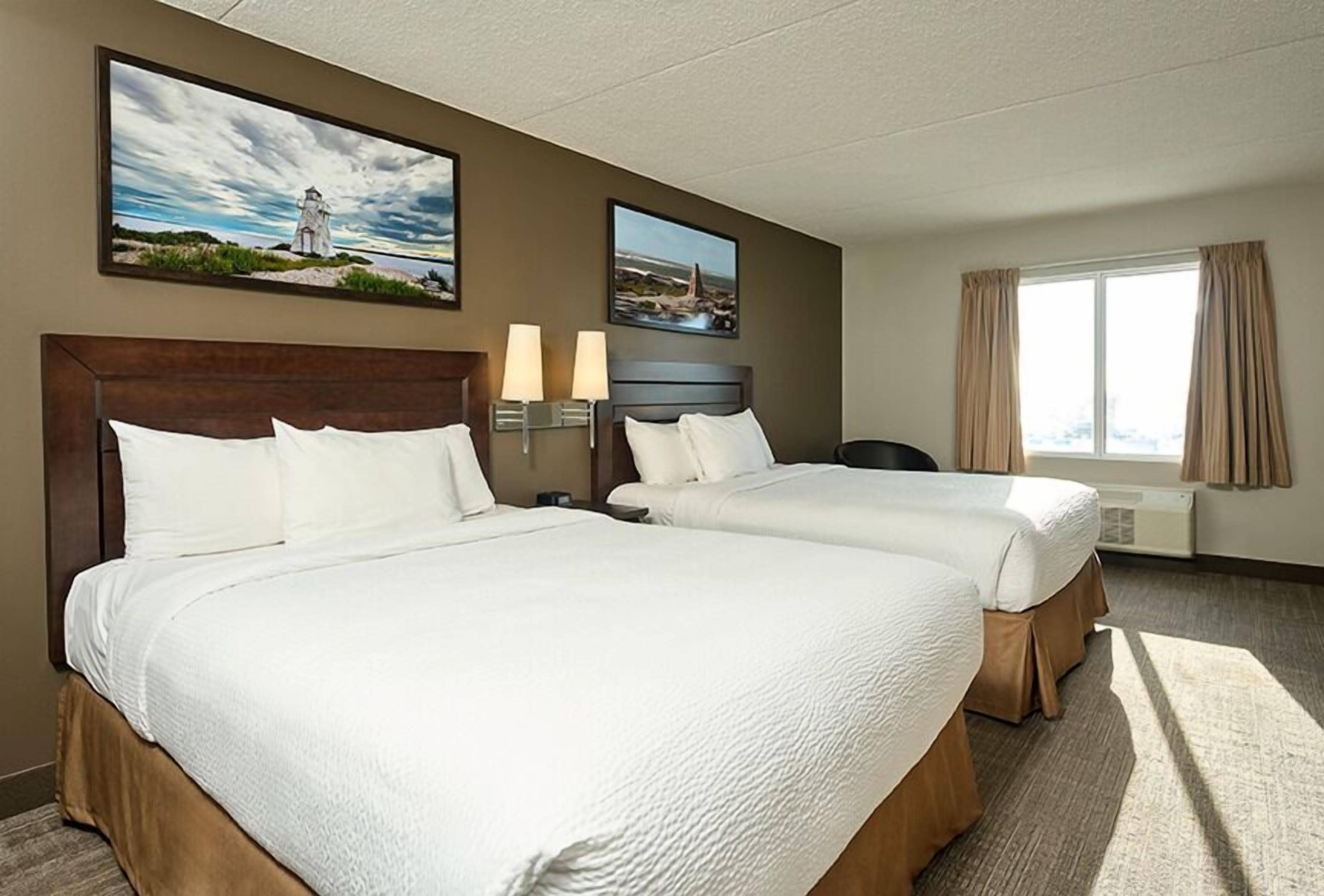 Chambre Standard, 2 grands lits | Bureau, espace de travail pour ordinateurs portables