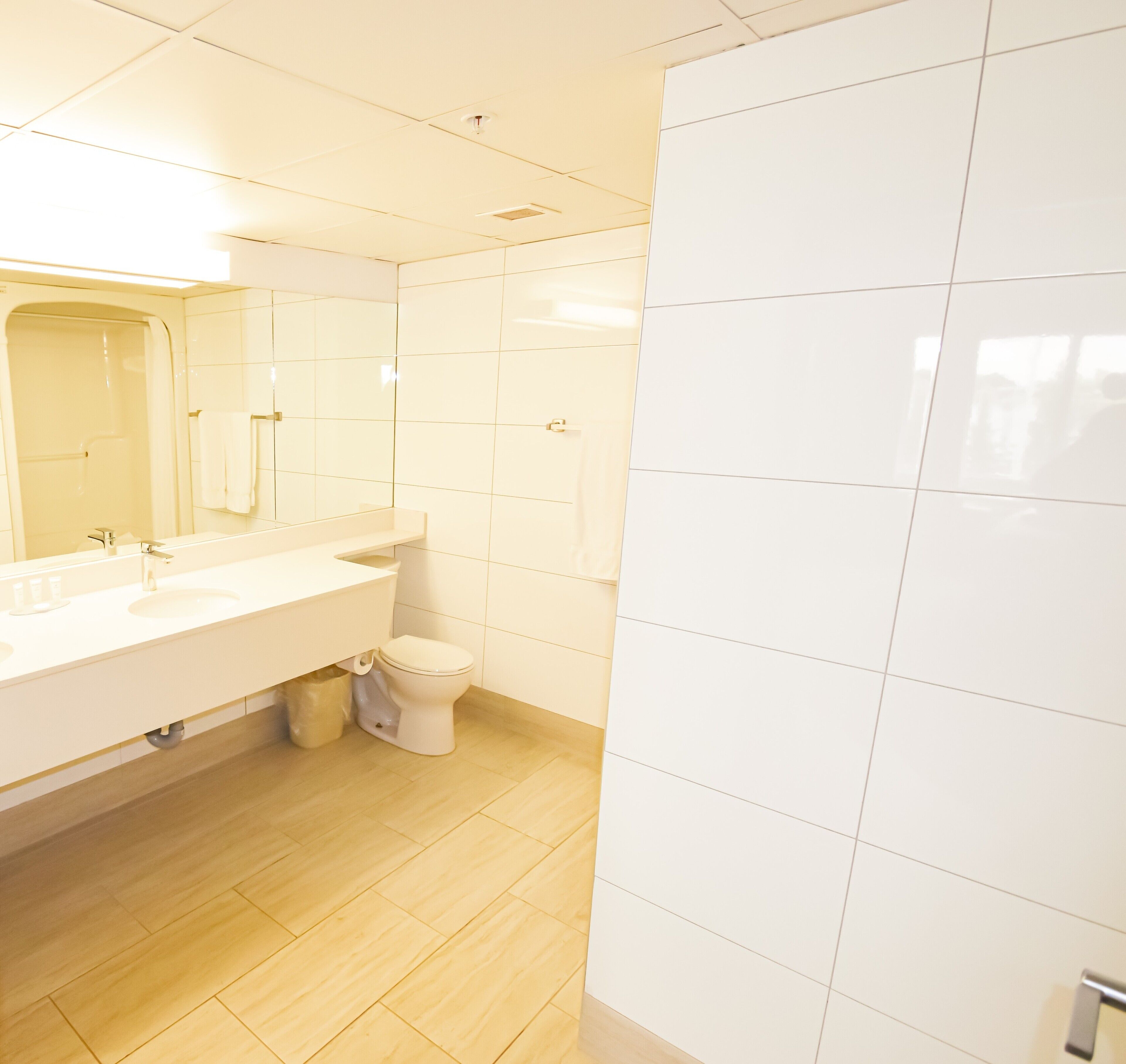 executive suite, 1 king bed with sofa bed, jetted tub | bathroom | combined shower/bathtub, free toiletries, hair dryer, towels