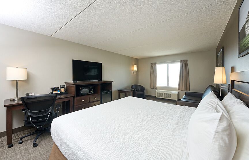 Deluxe-huone, 1 suuri parisänky ja vuodesohva | Työpöytä, kannettavalle tietokoneelle sopiva työtila, pimennysverhot