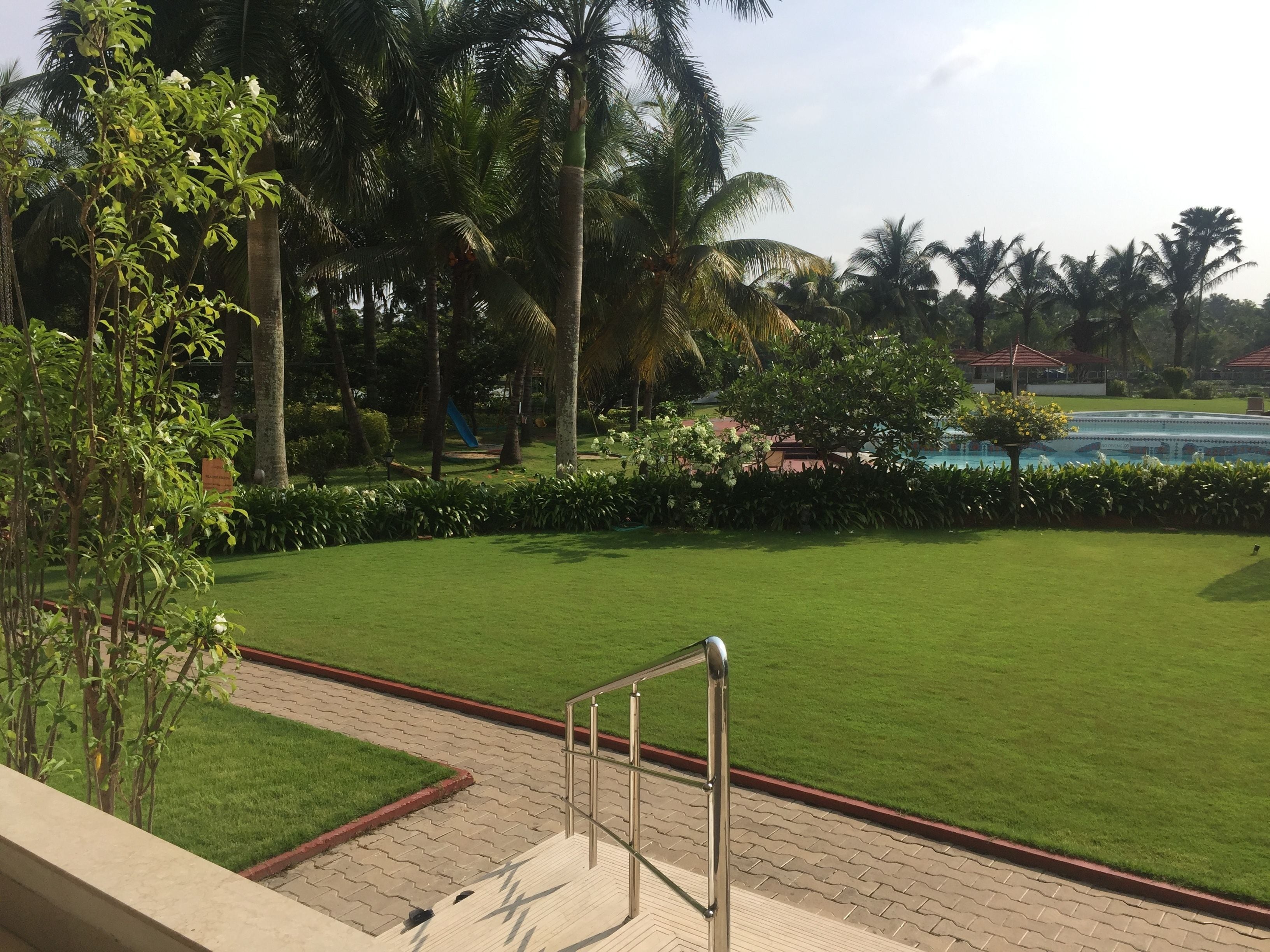 A well-maintained lawn with a metal railing, palm trees, and a pool in the background.