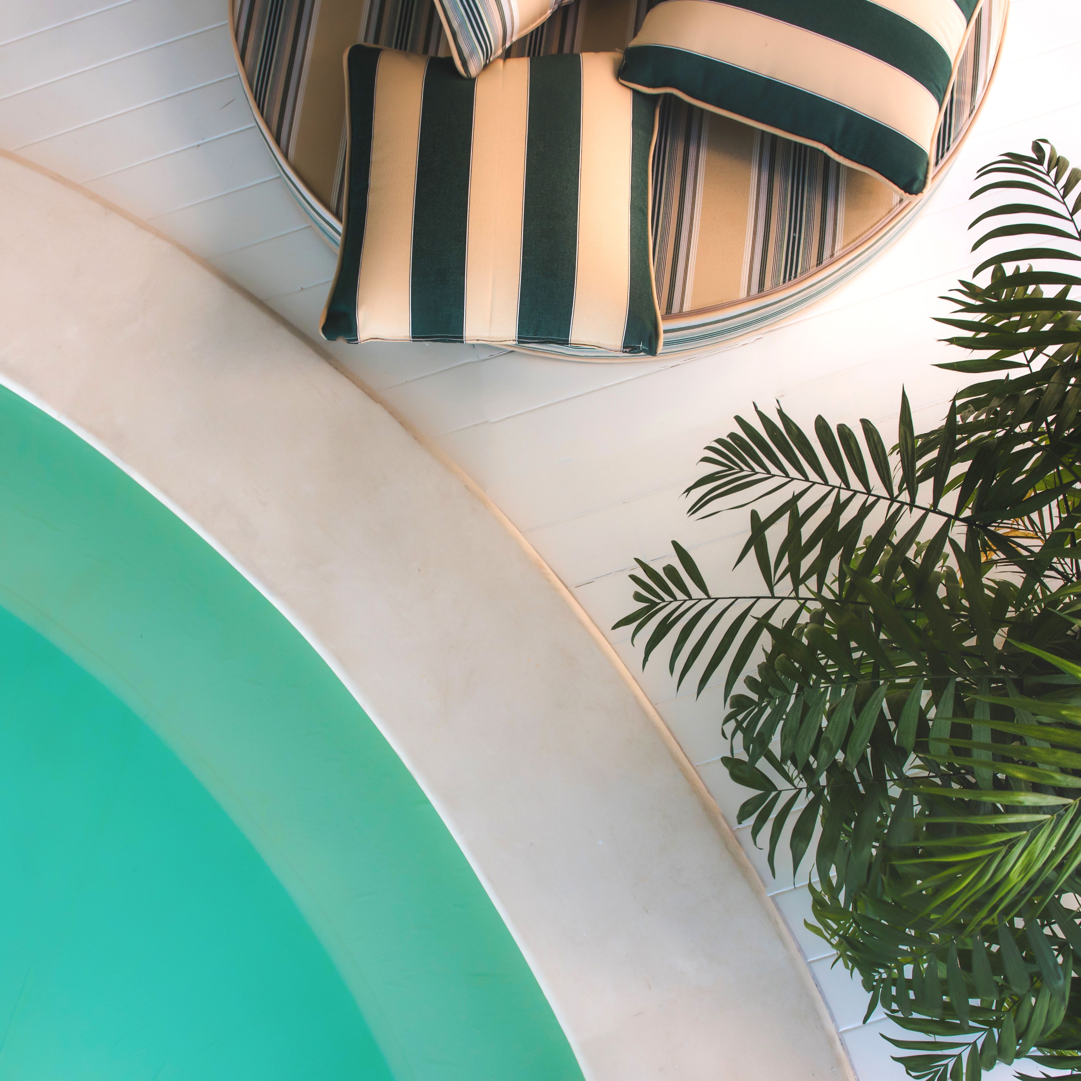 A circular seating area with a striped cushion, a green plant, and a white wall with a curved design.