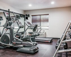 A gym with treadmills, elliptical machines, and a weight bench area.