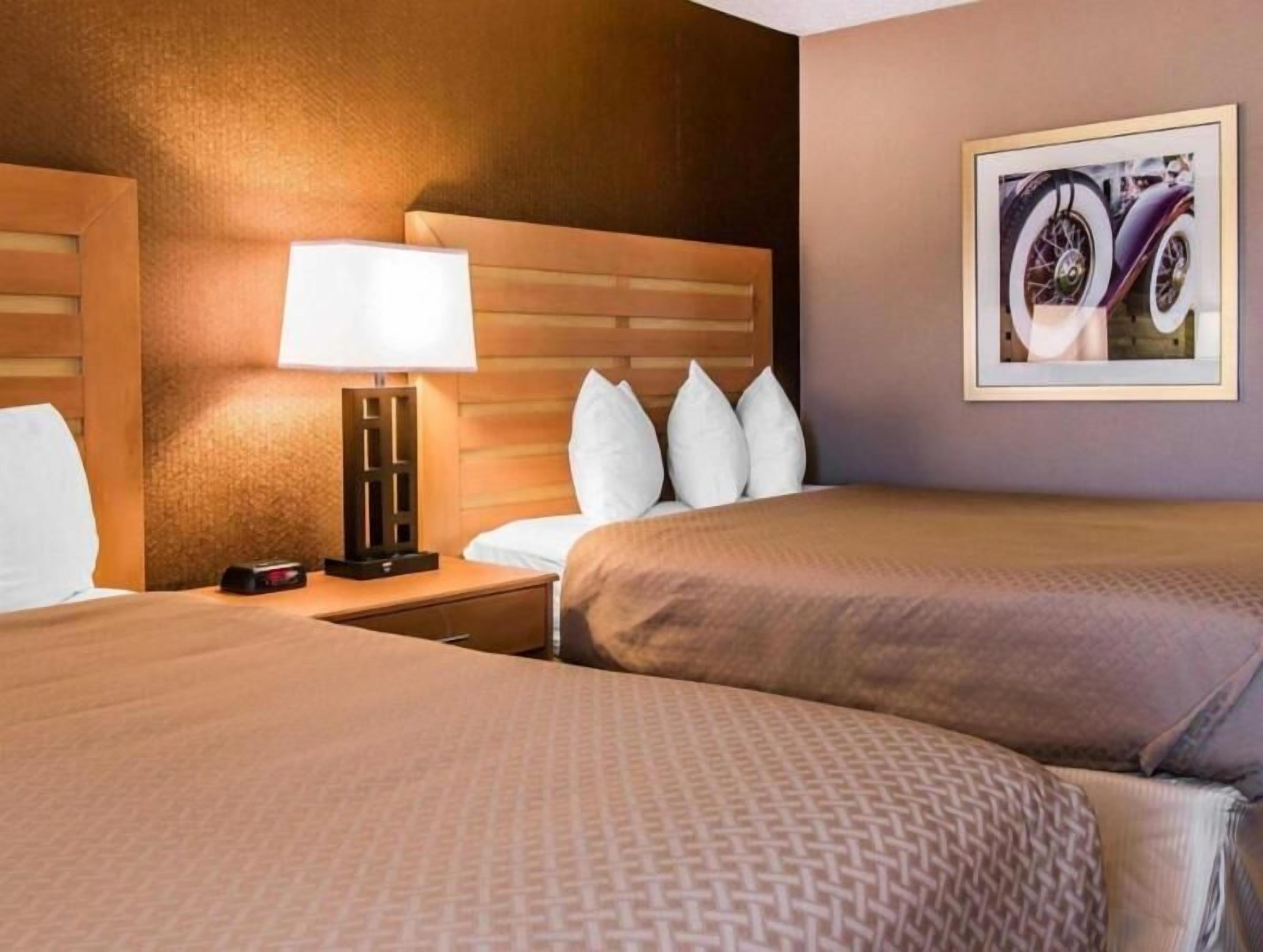 Daunenbettdecken, Schreibtisch, Verdunkelungsvorhänge