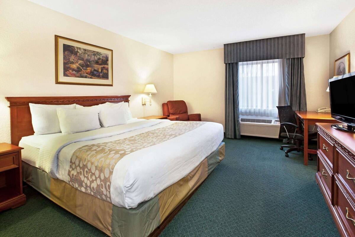 A hotel room with a large bed, a desk with a TV, a chair, and a painting on the wall.