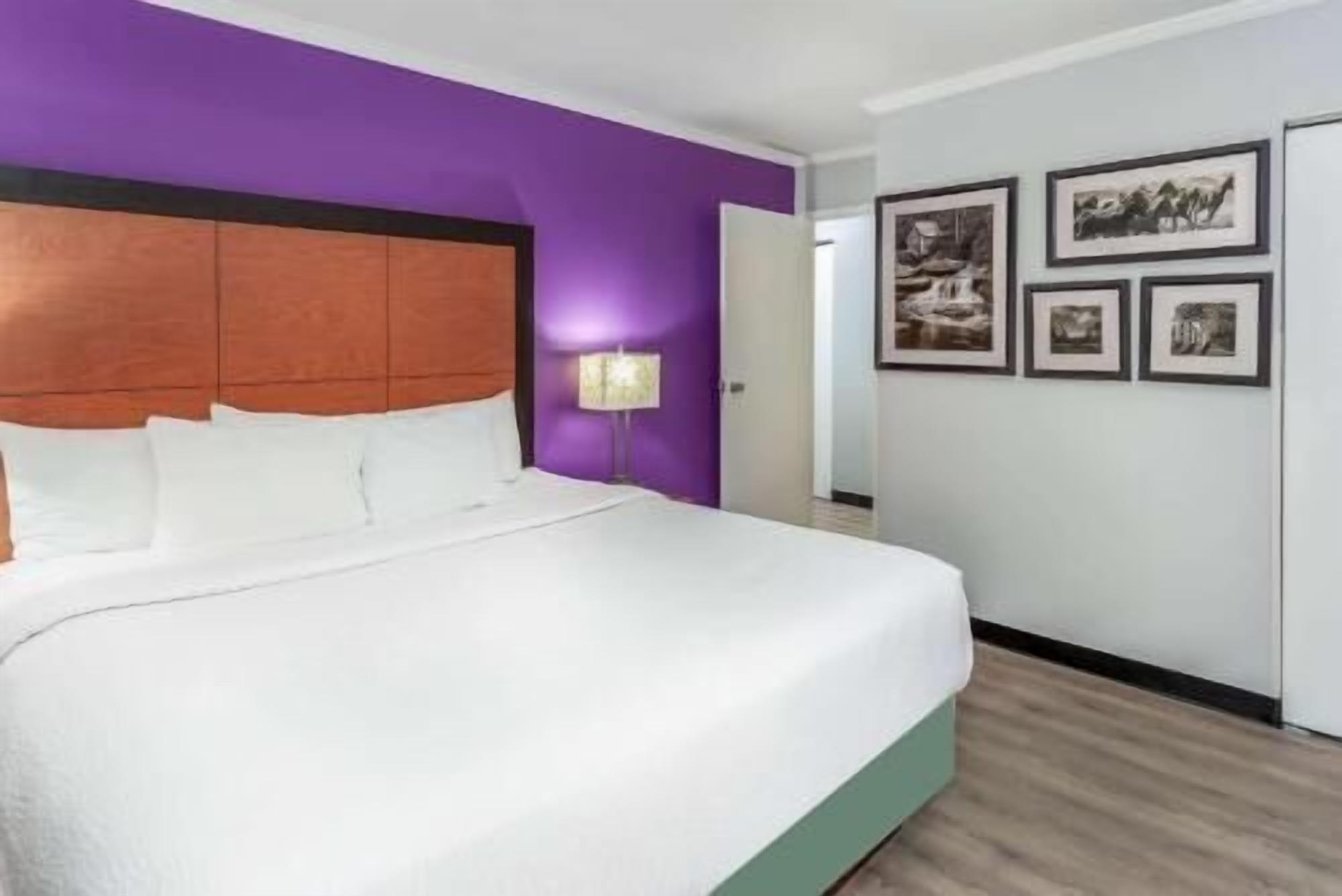 Premium bedding, desk, iron/ironing board, free cots/infant beds
