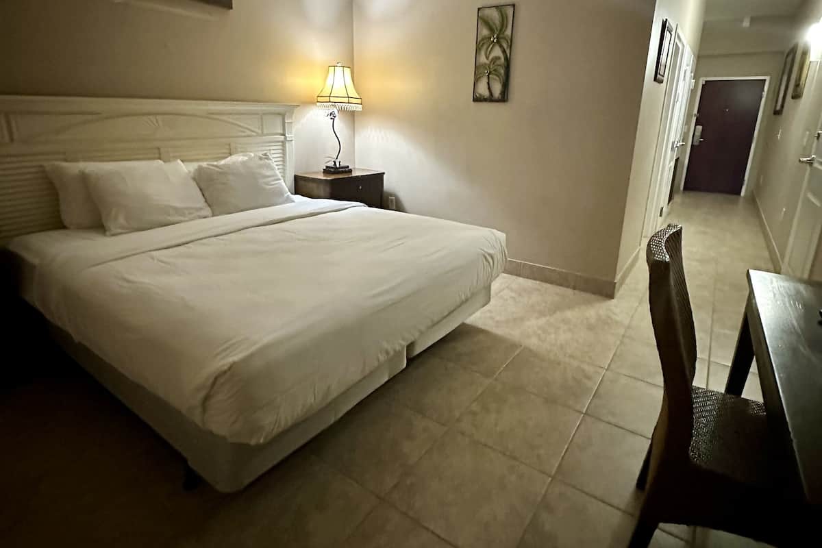 A hotel room with a large bed, a nightstand with a lamp, a chair, and a desk.