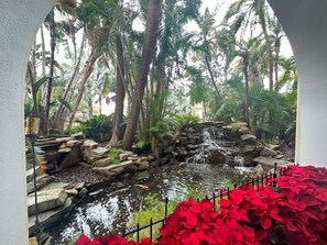 A small pond with a waterfall, surrounded by palm trees and red poinsettia plants.