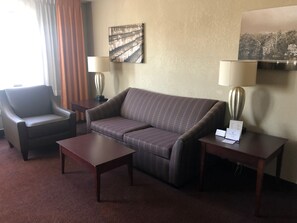 Suite | Oppholdsrom | Flatskjerm-TV