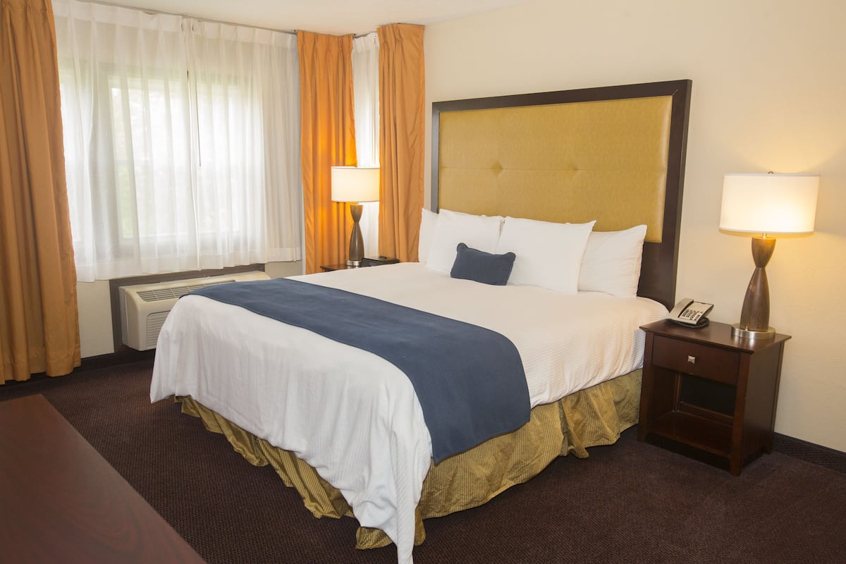 A hotel room with a large bed, a bedside table with a lamp, a phone, and a window with curtains.