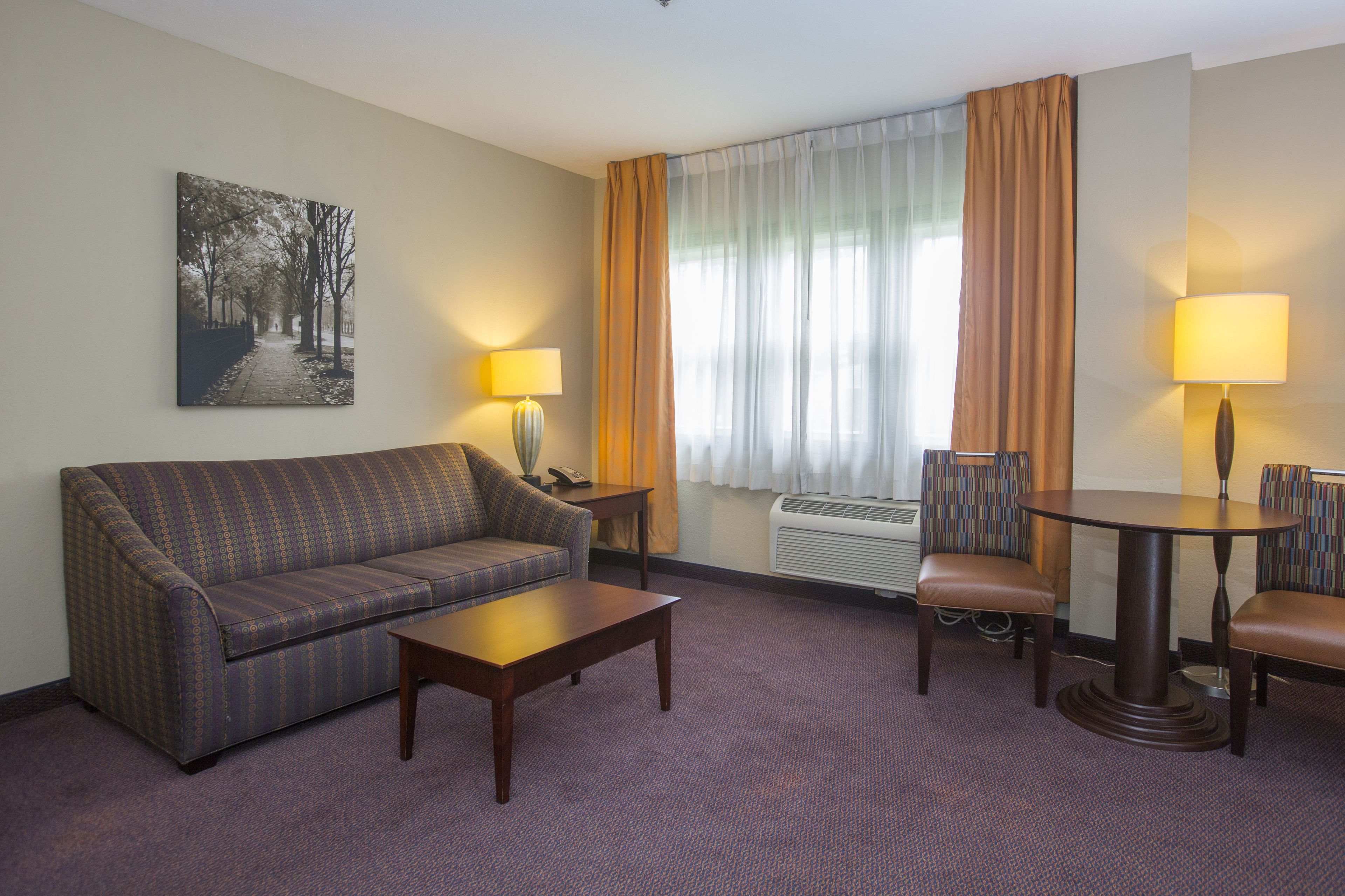 suite | desk, blackout curtains, iron/ironing board, free wifi