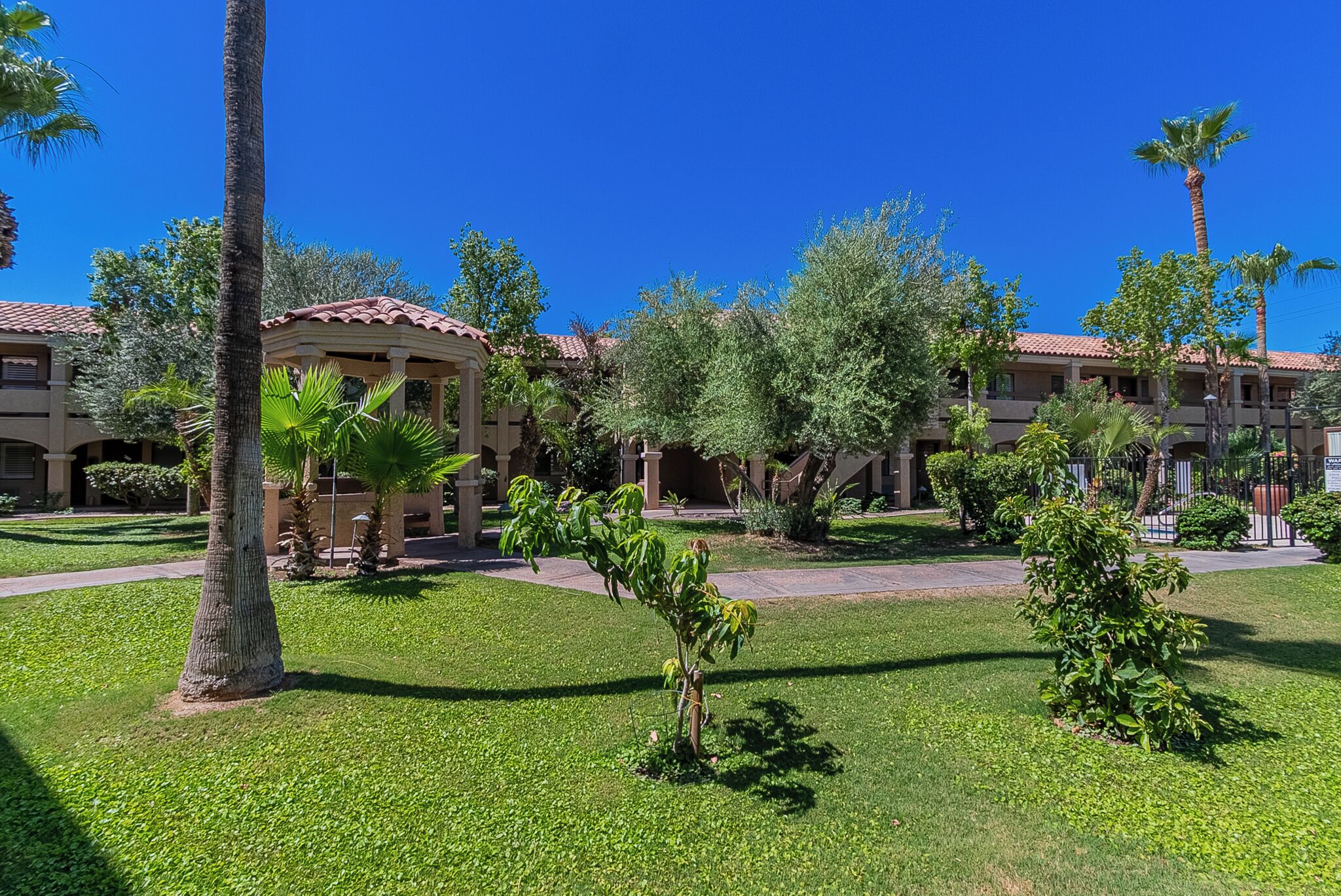 A courtyard with palm trees, a gazebo, and a building with a red-tiled roof.