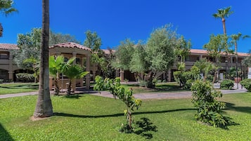 A courtyard with palm trees, a gazebo, and a building with a red-tiled roof.