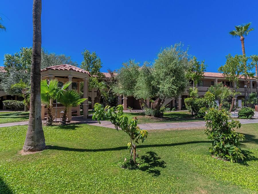 A courtyard with palm trees, a gazebo, and a building with a red-tiled roof.