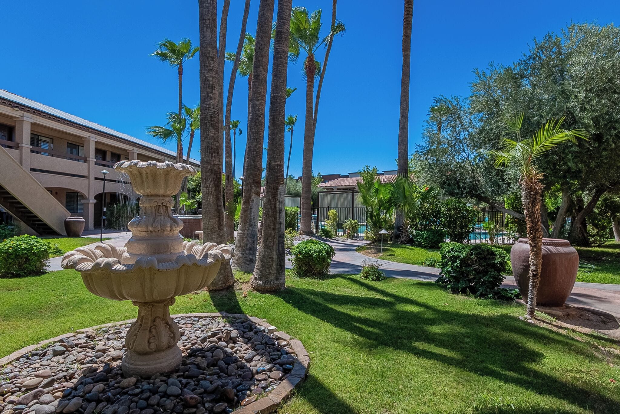 A fountain, palm trees, and a building with a pool in the background.