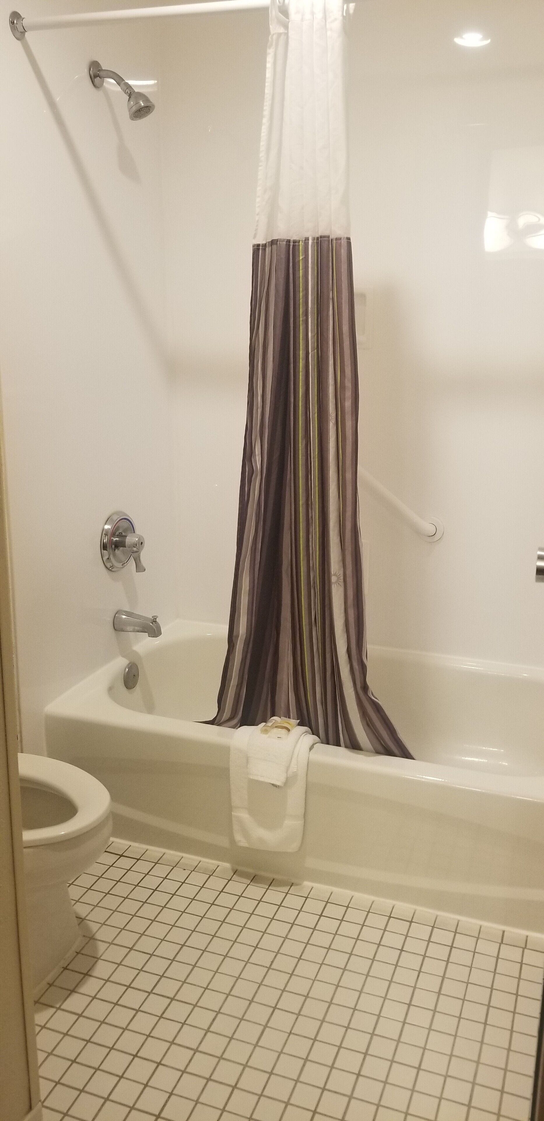 combined shower/bathtub, free toiletries, hair dryer, towels