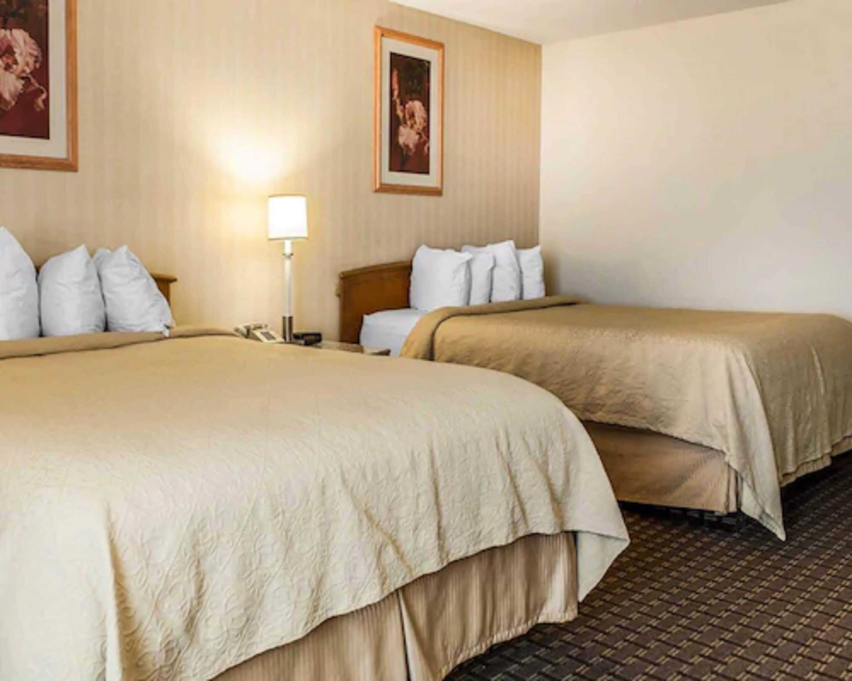 Habitación de hotel con dos camas, una mesita de noche, una lámpara y dos cuadros en la pared.