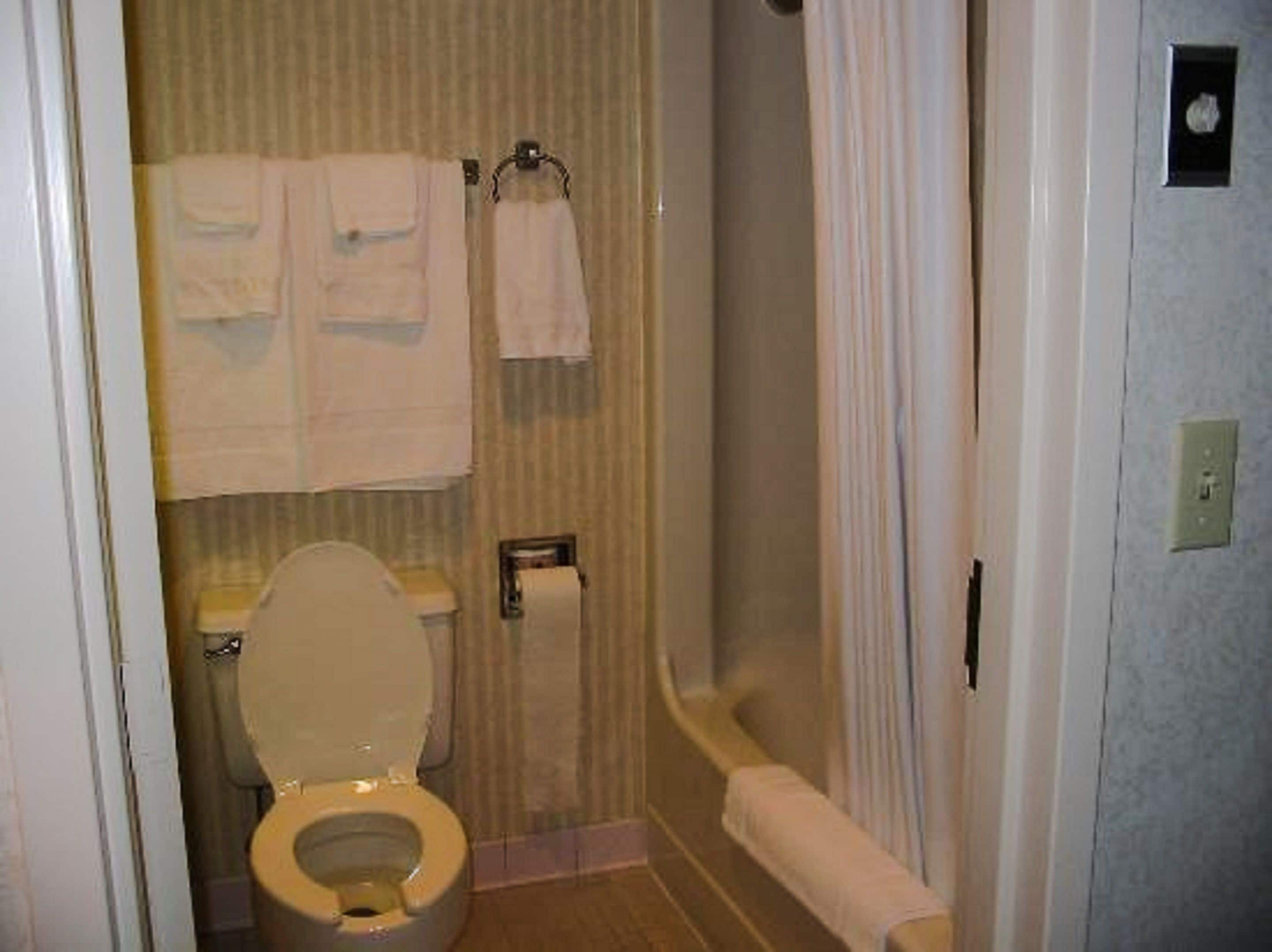 Un baño con inodoro, toallero con dos toallas, cortina de ducha y dispensador de papel higiénico.