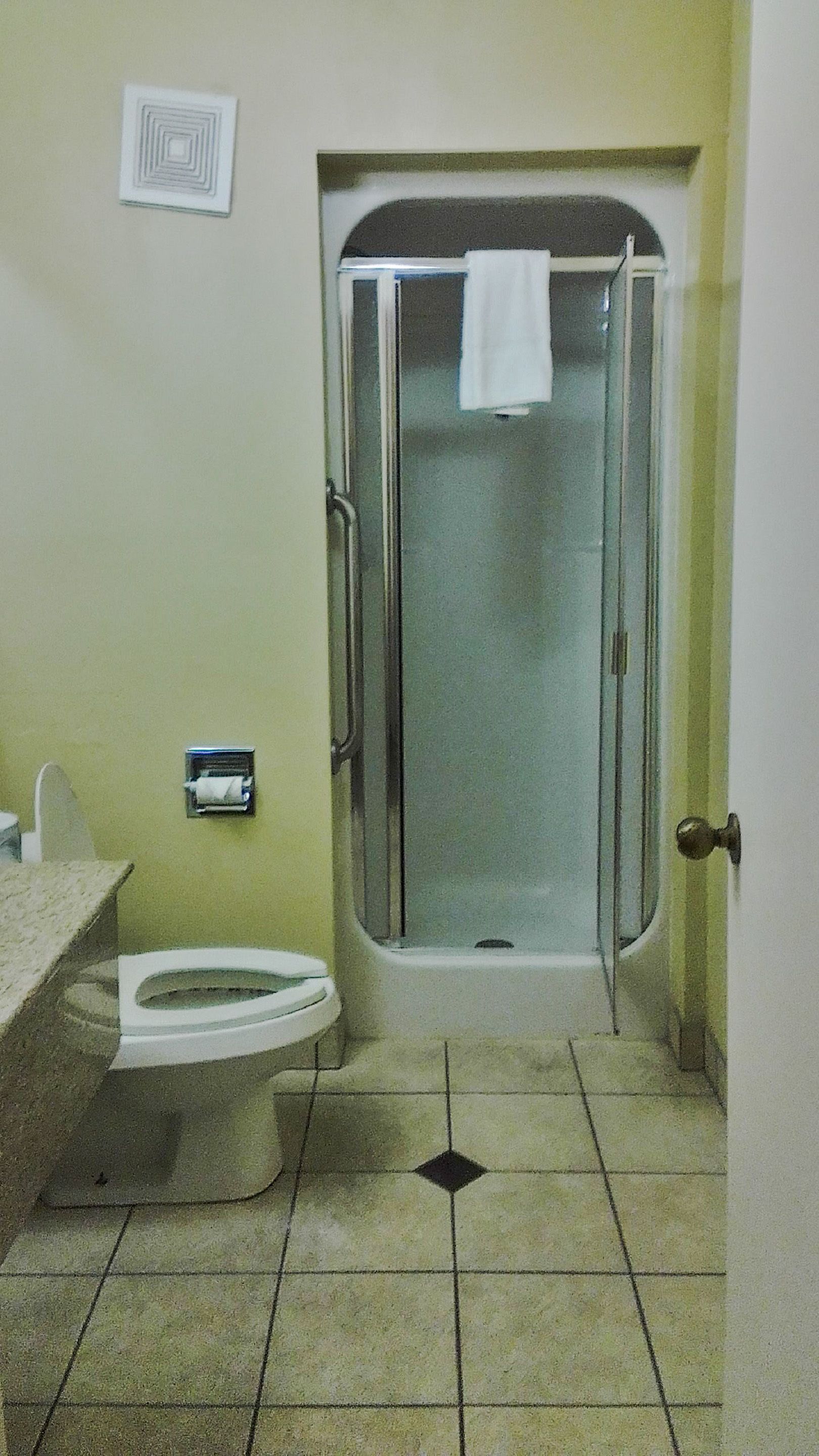 A bathroom with a shower, toilet, and a towel rack.