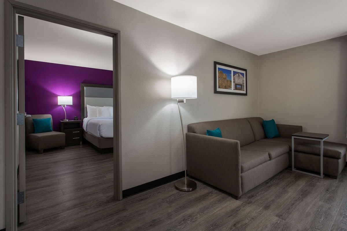 A hotel room with a bed, a sofa, a nightstand, a lamp, and a framed picture on the wall.