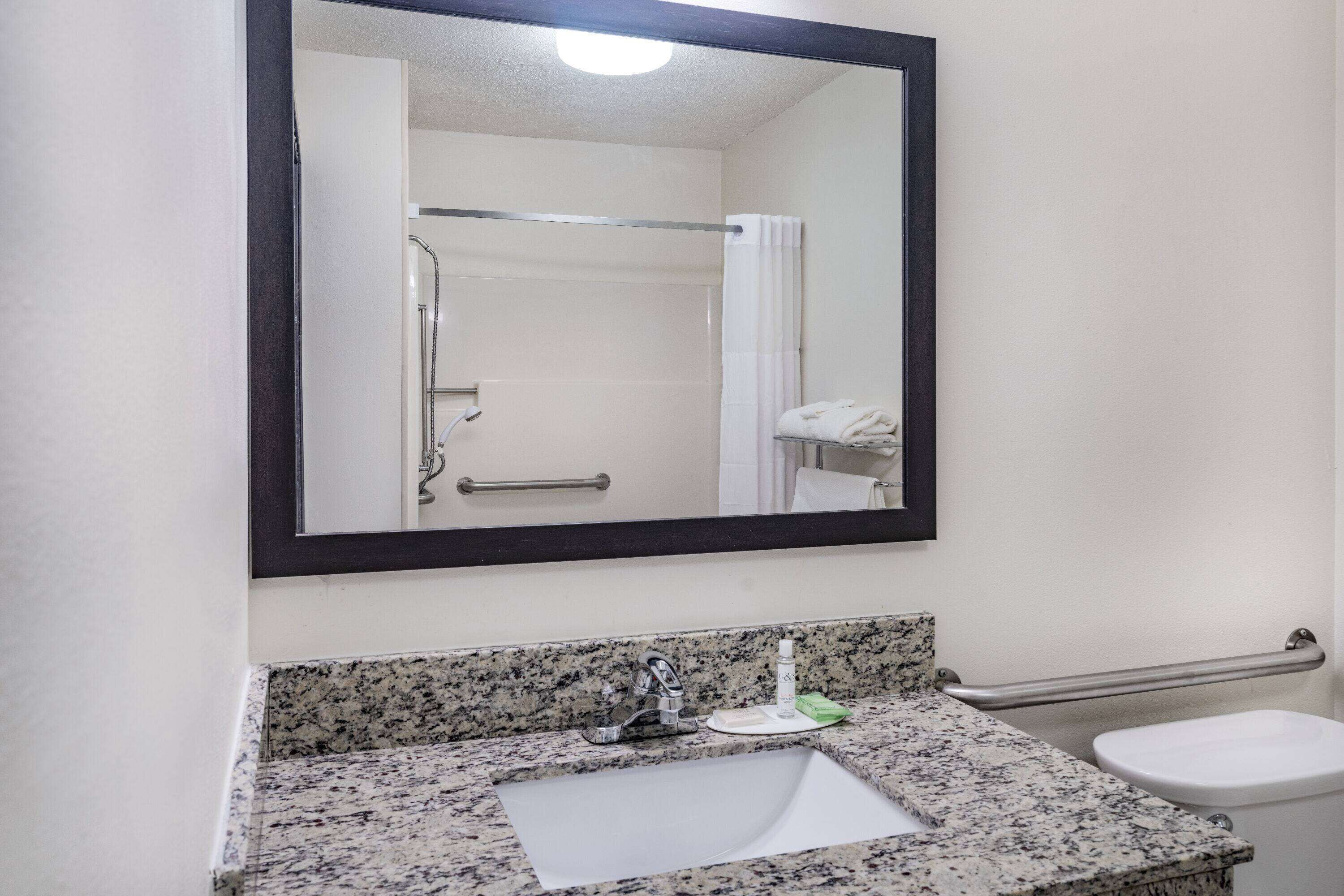Camera, 1 letto queen, accesso in sedia a rotelle, non fumatori | Bagno accessibile ai disabili