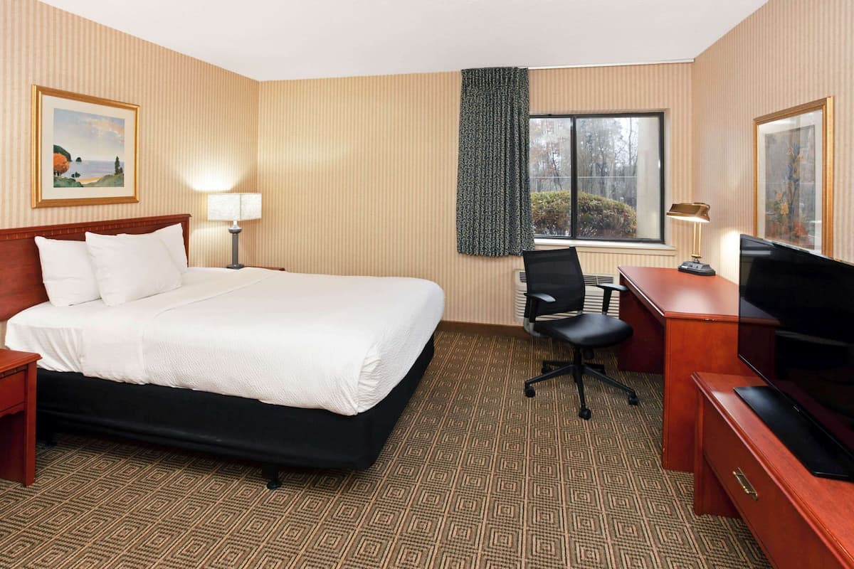 A hotel room with a large bed, a desk with a chair, a television, and a window with a view of trees.