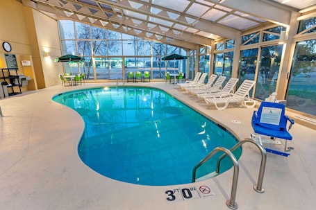 Indoor pool, sun loungers