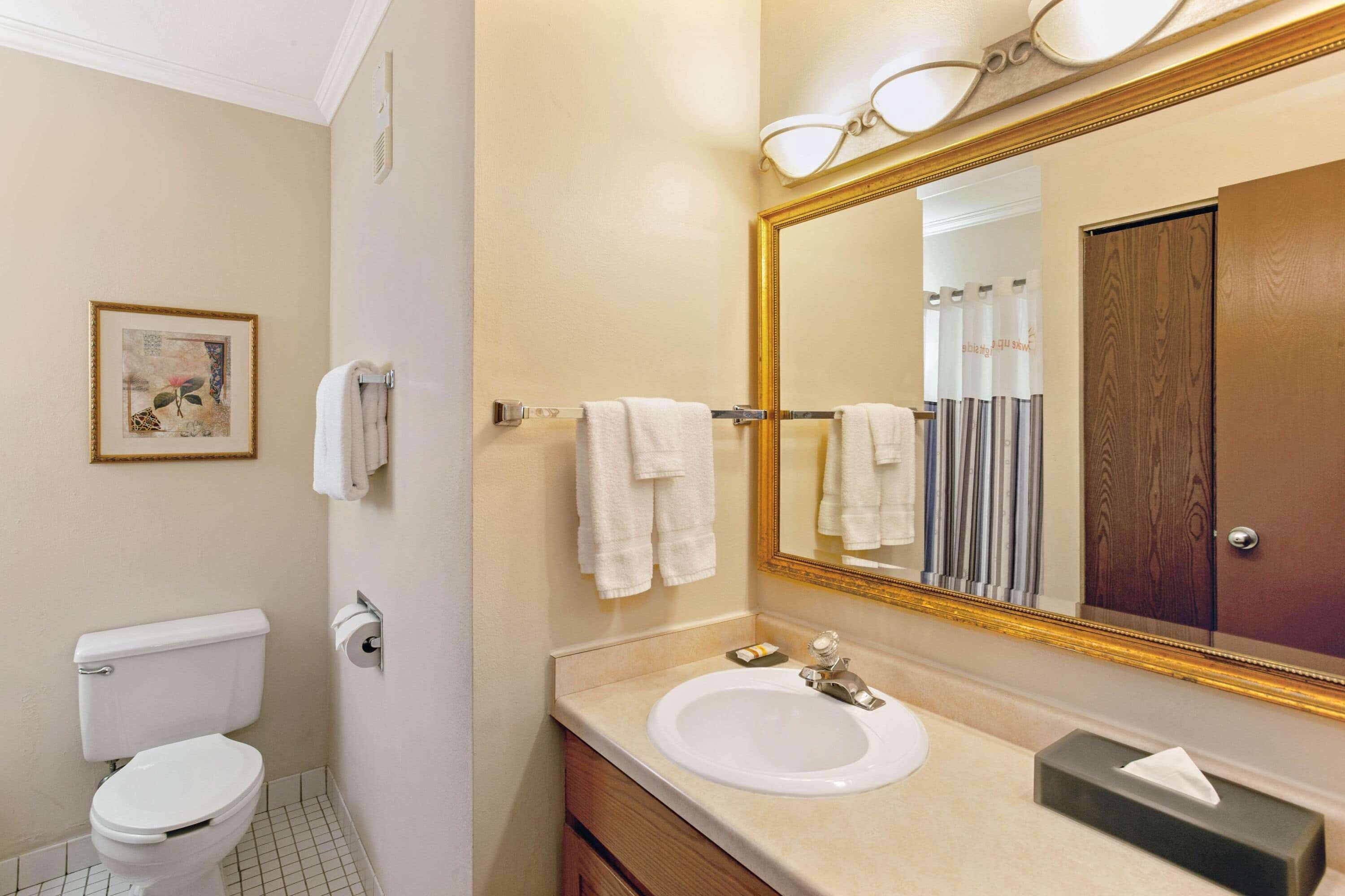 combined shower/bathtub, eco-friendly toiletries, hair dryer, towels