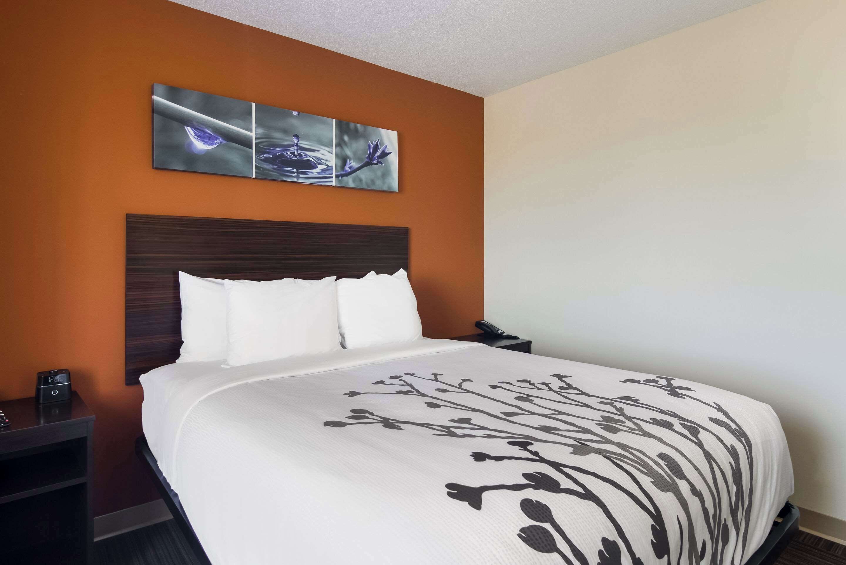 A hotel room with a large bed, a wooden headboard, and a nightstand with a phone and a clock.