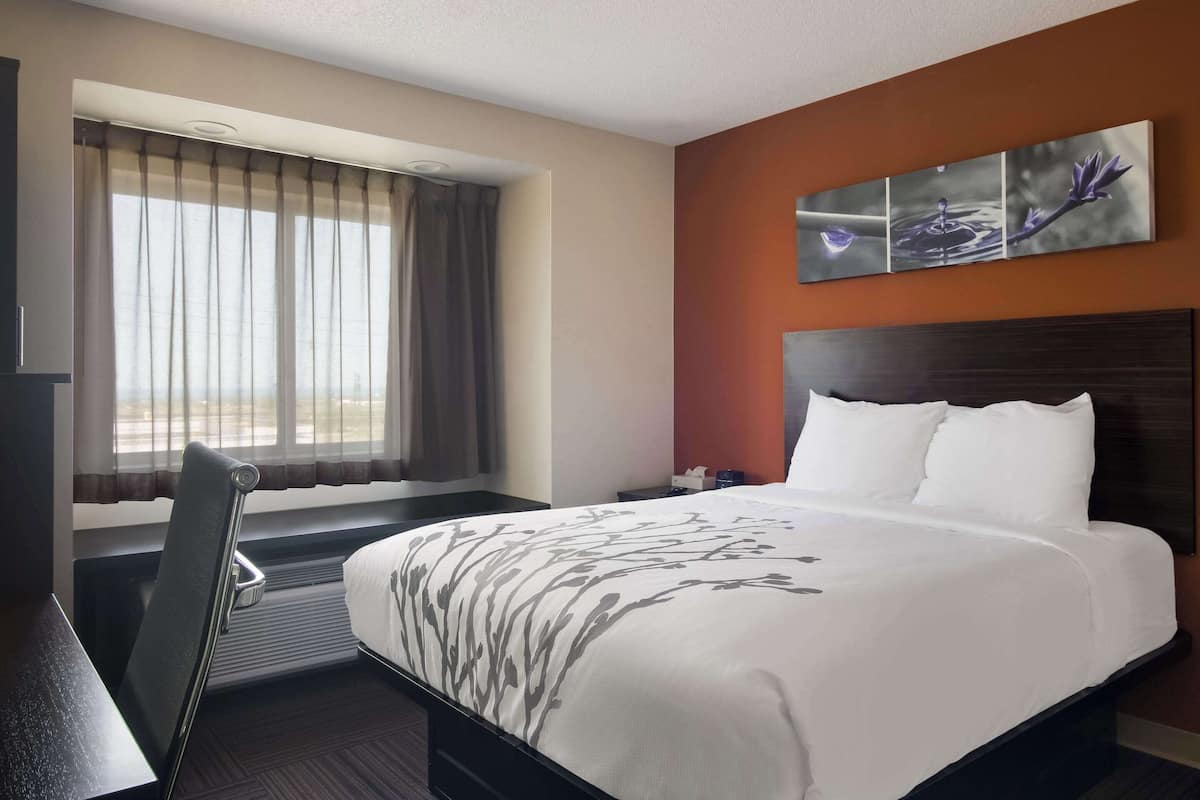 Standard Room, 1 Queen Bed, Non Smoking | In-room safe, desk, iron/ironing board, free cribs/infant beds