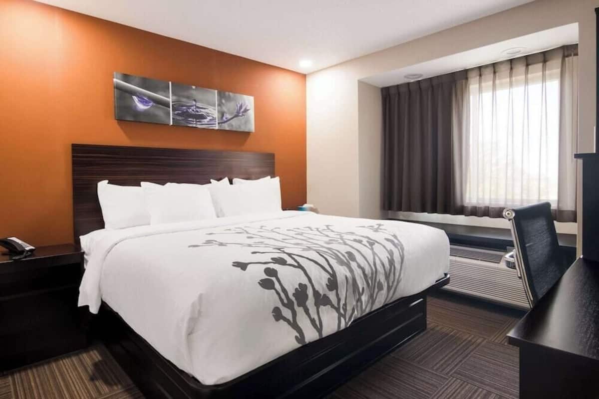 In-room safe, desk, iron/ironing board, free cribs/infant beds