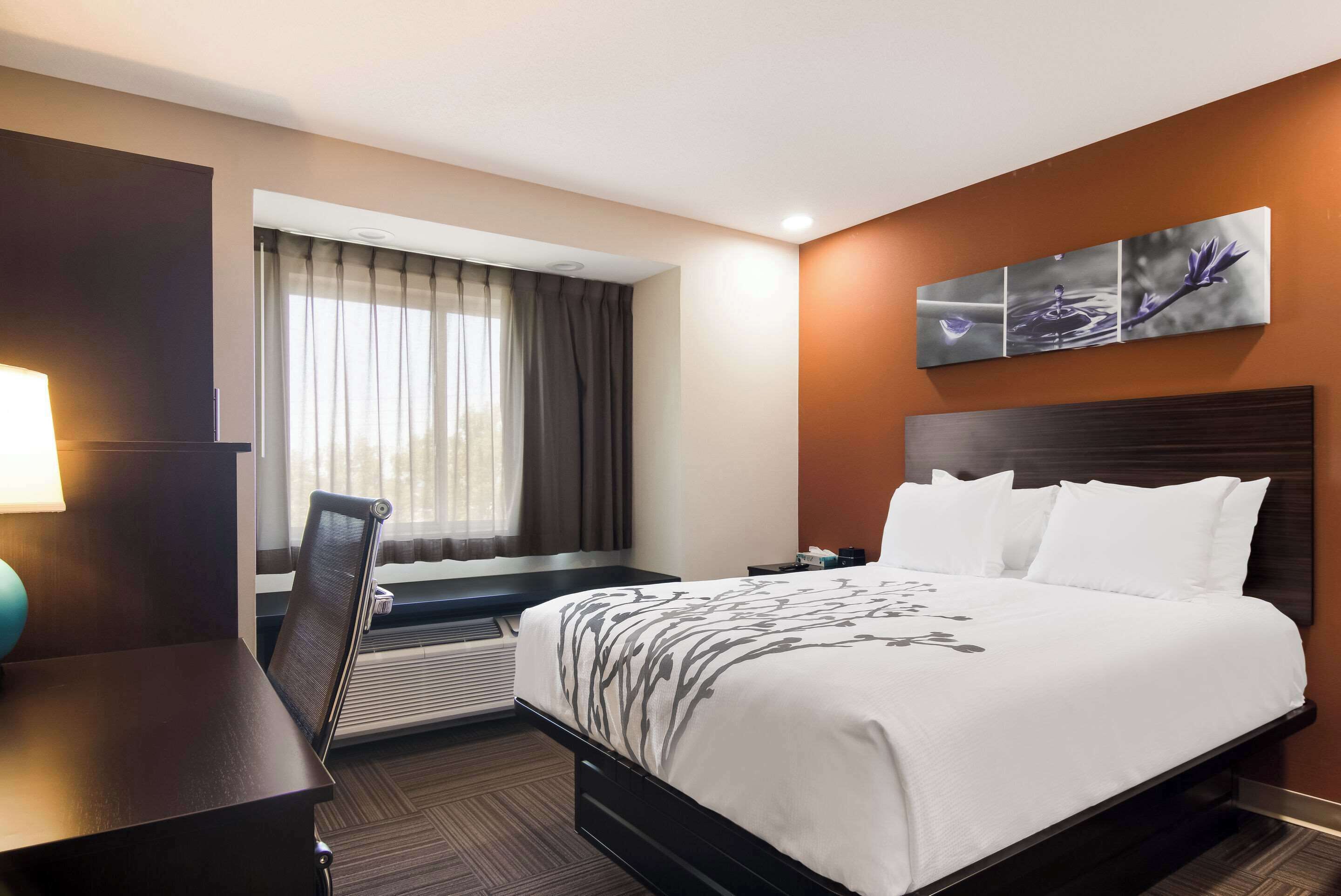 Värdeförvaringsskåp på rummet, skrivbord och strykjärn/strykbräda