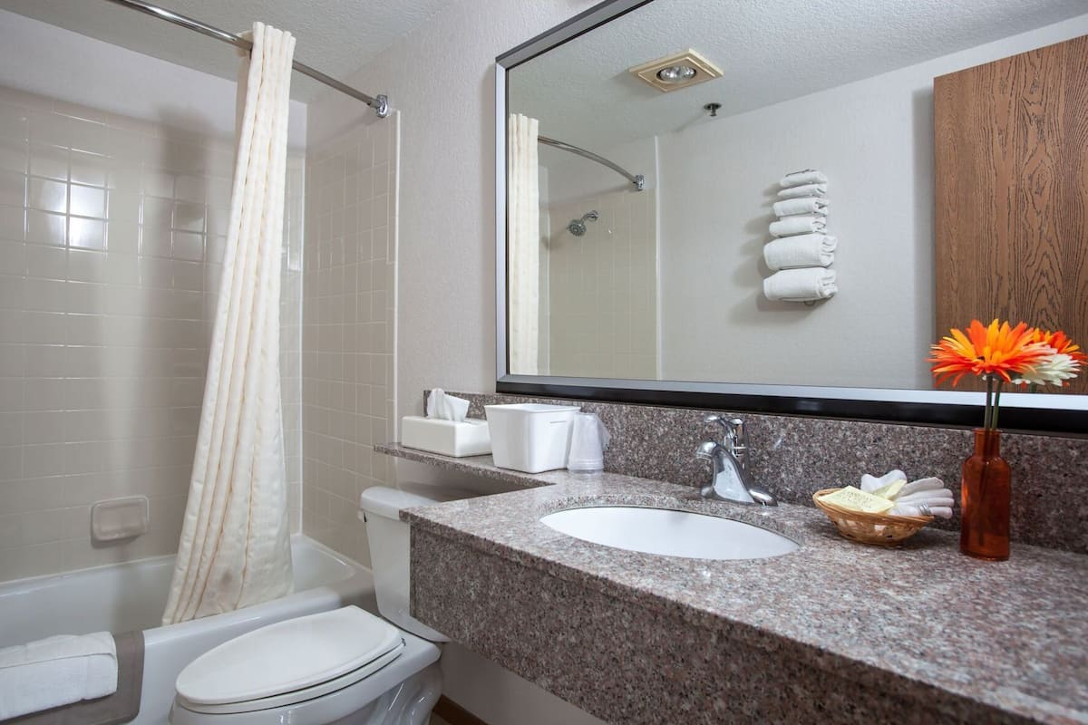A bathroom with a shower, toilet, sink, and a mirror.