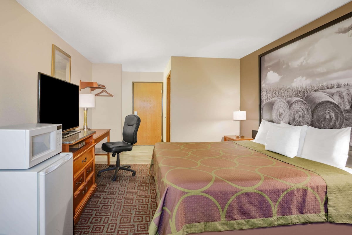 Une chambre d’hôtel avec un lit, un bureau avec une télévision, un réfrigérateur, une chaise et un tableau au mur.
