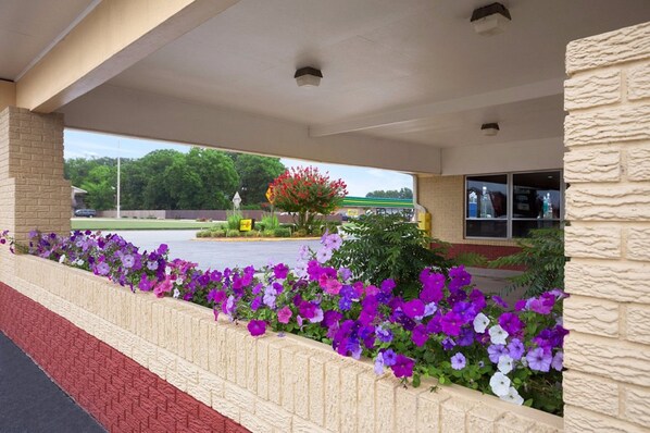 Jardin