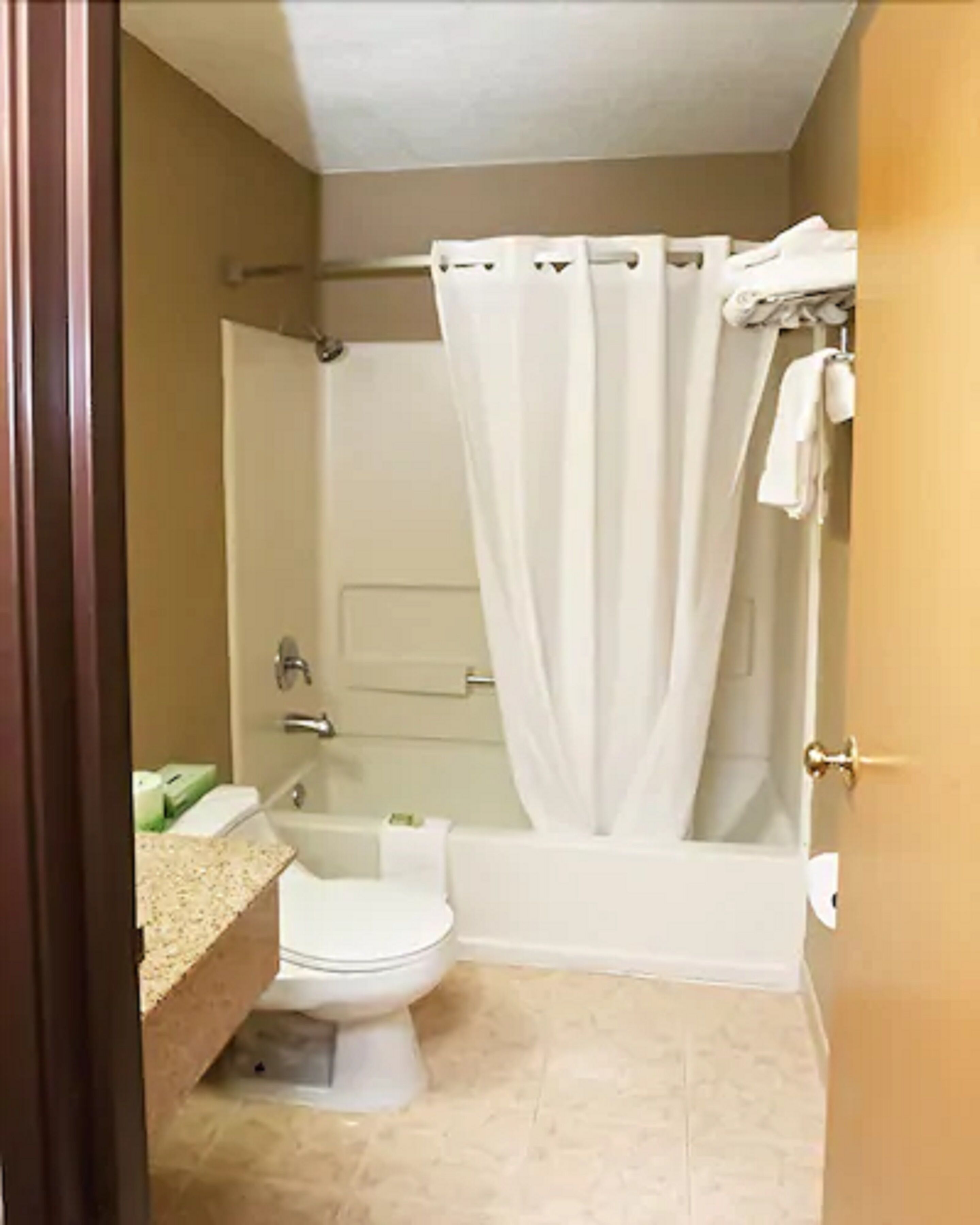 Combined shower/bathtub, free toiletries, hair dryer, towels