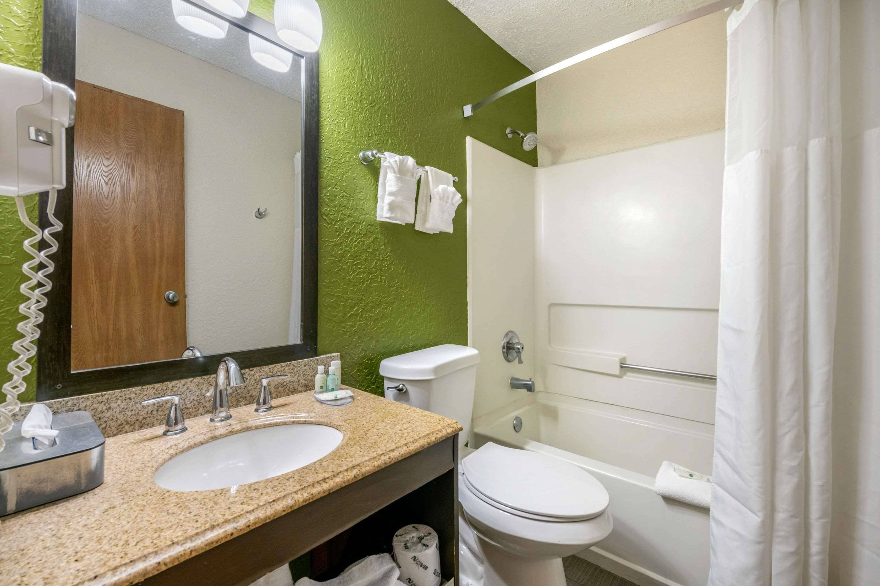 A bathroom with a green wall, a wooden door, a sink with a mirror, a toilet, and a shower curtain.