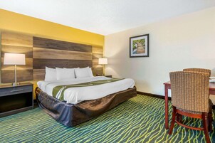 Habitación de hotel con cama, dos mesitas de noche con lámparas, una silla de mimbre y una alfombra estampada.