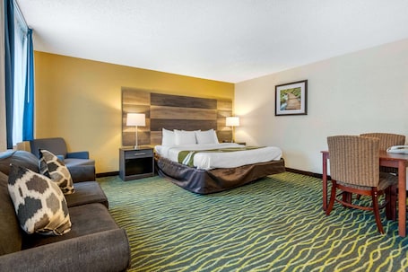 Escritorio, tabla de planchar con plancha, cunas (de pago) y wifi gratis. Quality Inn & Suites Leesburg Chain of Lakes