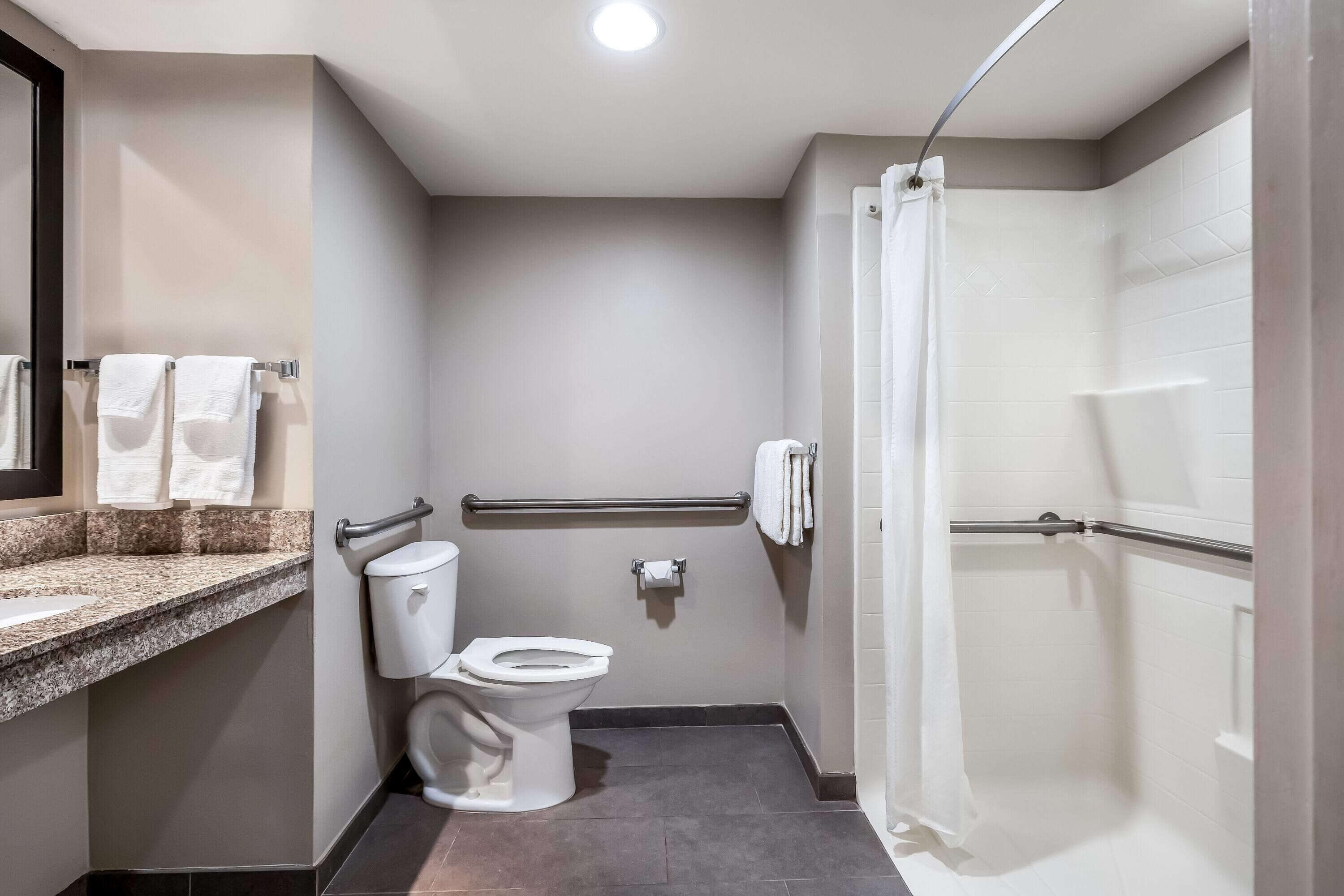Un baño con inodoro, lavabo y ducha.