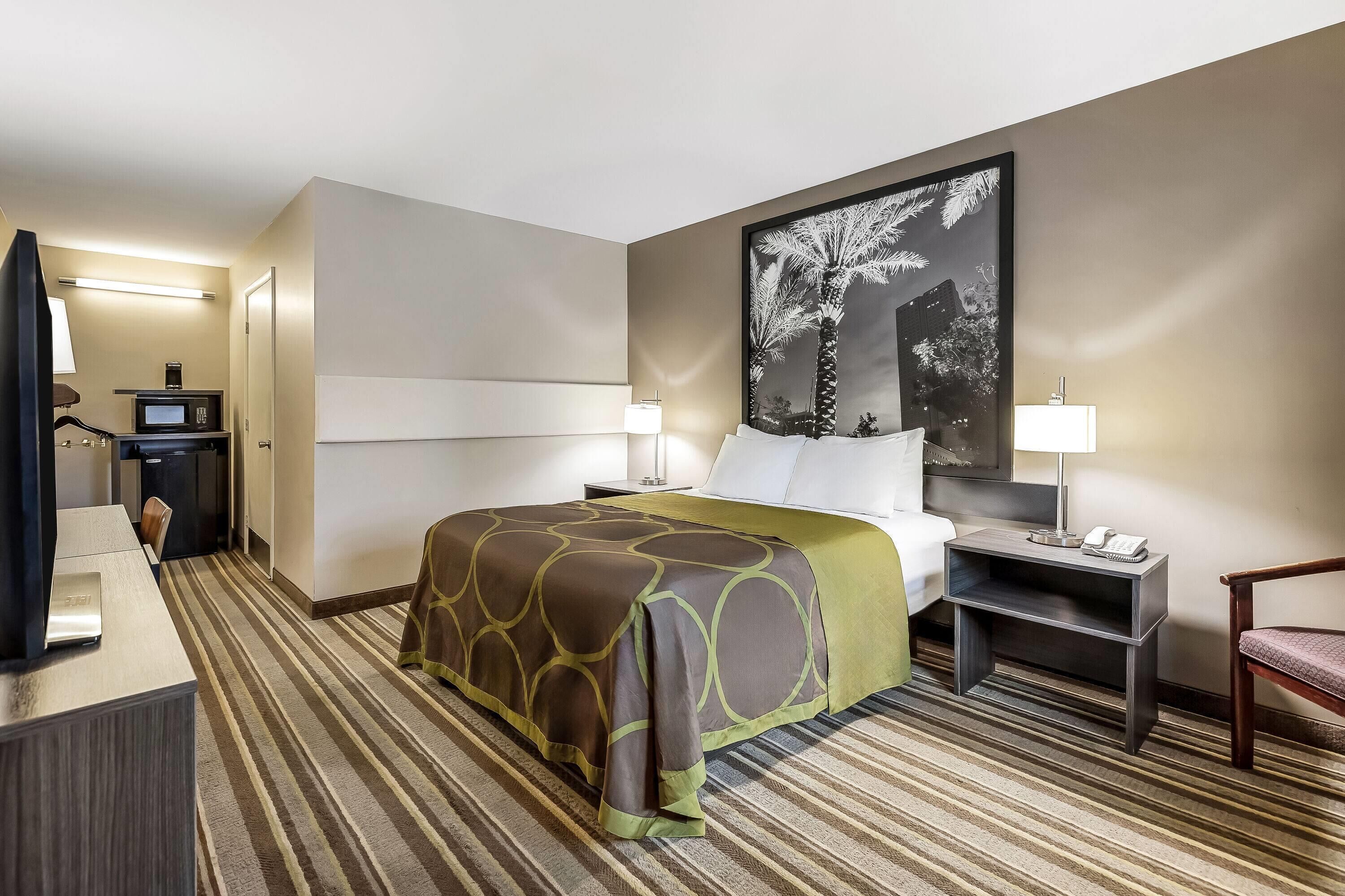 Room, 1 Queen Bed, Accessible, Non Smoking (Mobility/Hearing,roll-in shower)
