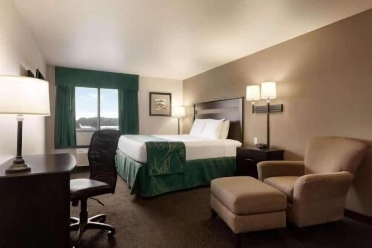 A hotel room with a bed, a desk, a chair, and a nightstand.