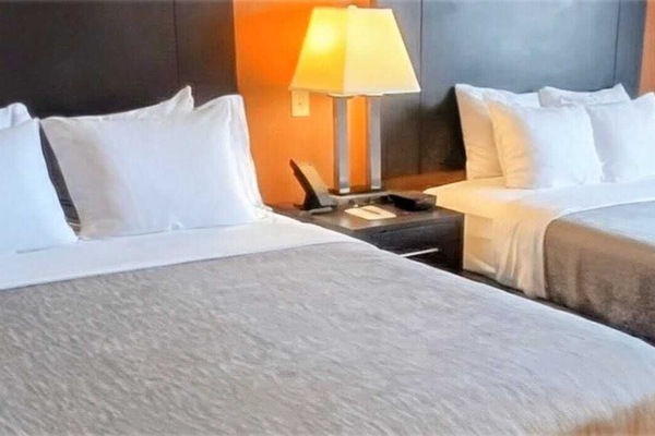Room, 2 Queen Beds, Non Smoking | Premium bedding, down comforters, desk, blackout drapes