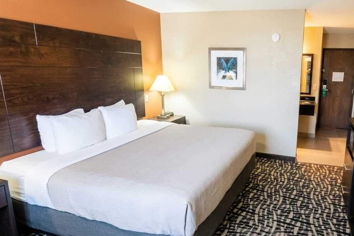 Premium bedding, down duvets, desk, blackout curtains