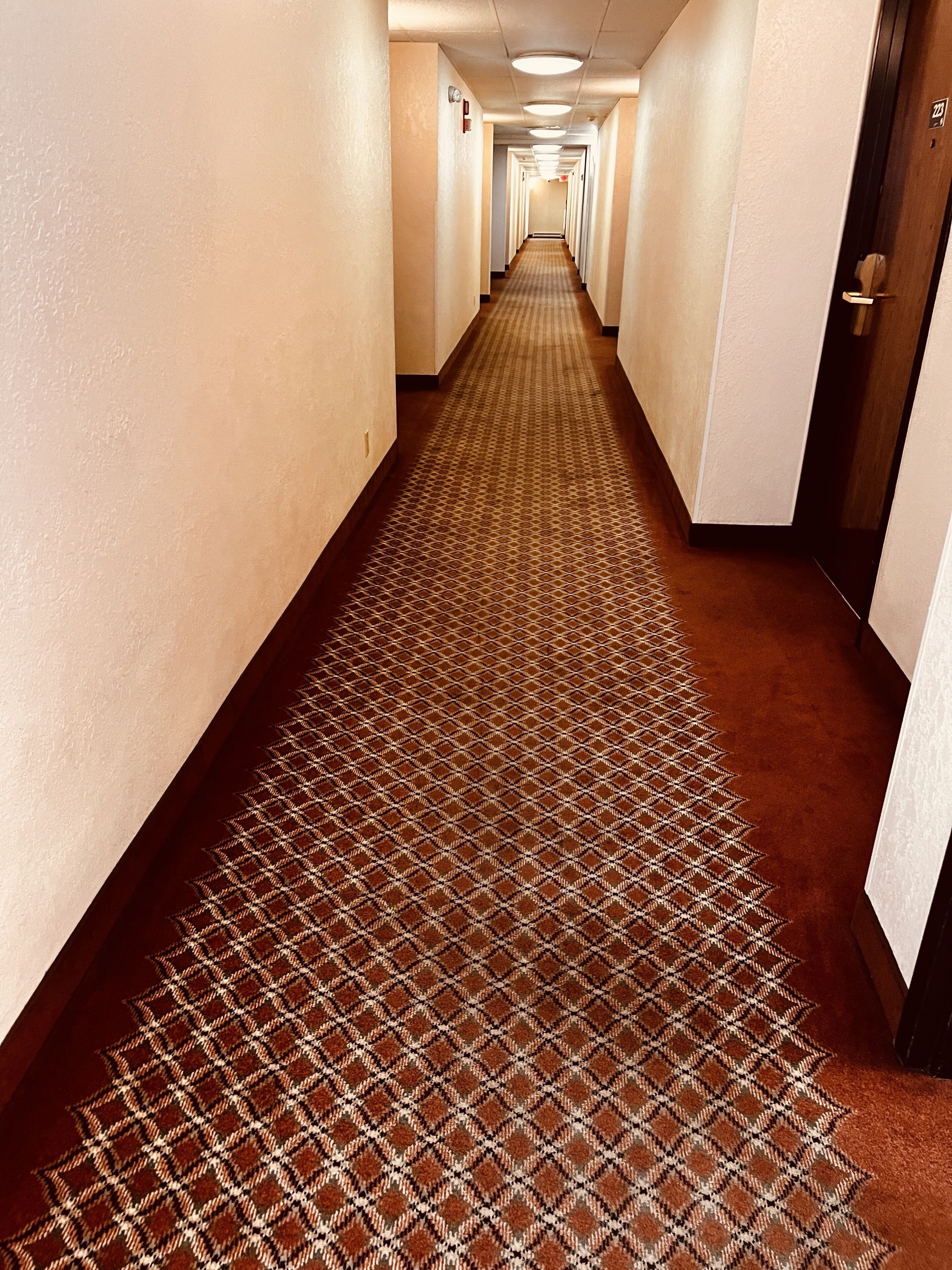 A hotel hallway with a patterned carpet and doors on both sides.