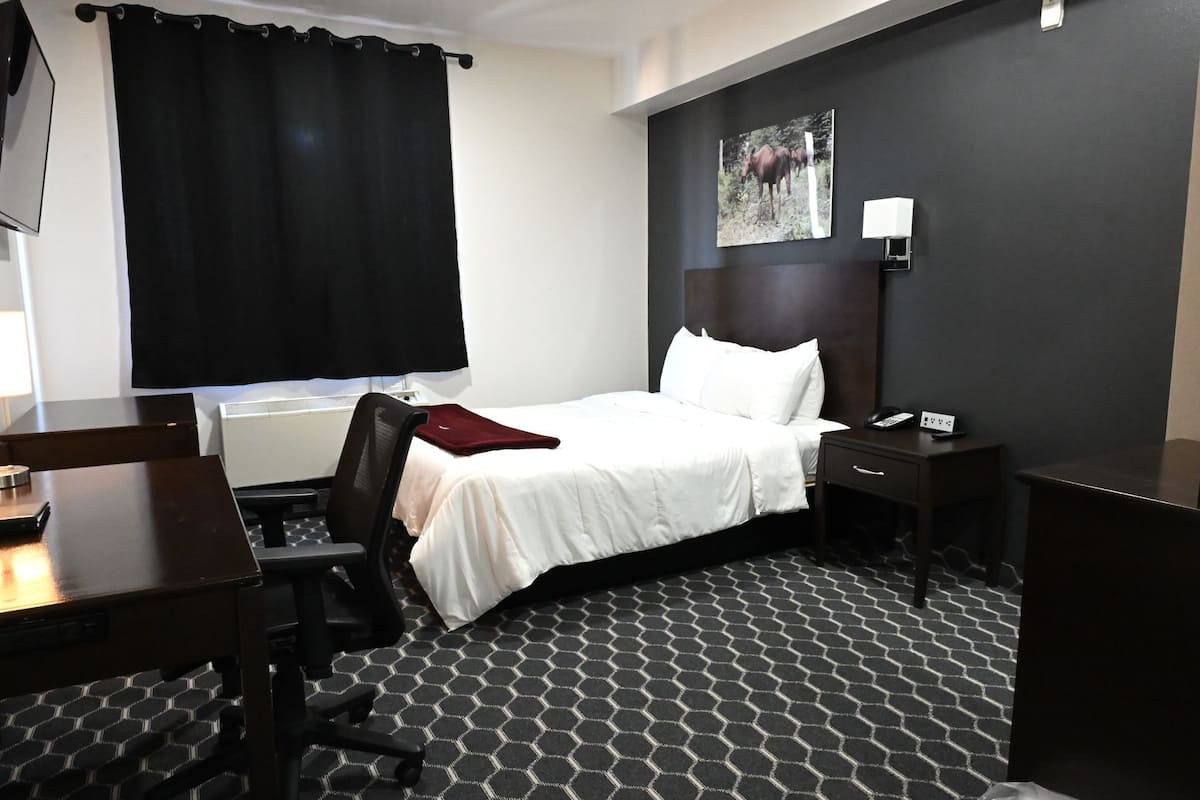 A hotel room with a bed, a desk, a chair, a nightstand, a lamp, and a picture on the wall.
